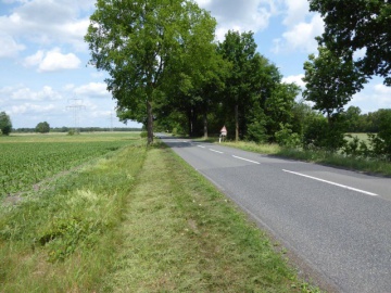 Straße mit Straßenrändern