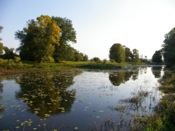 Vogelschutzgebiet Mittlere Oderniederung